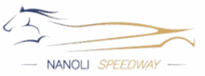 NANoli_logo.png